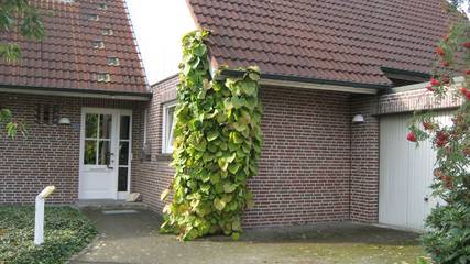 Ferienwohnung für 3 Personen, mit Garten, kinderfreundlich in Landkreis Grafschaft Bentheim