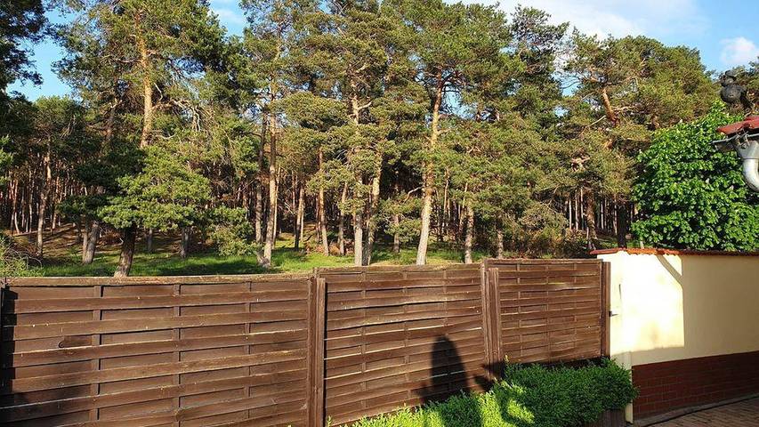 Ferienhaus für 4 Personen, mit Garten und Balkon in Thale - 2