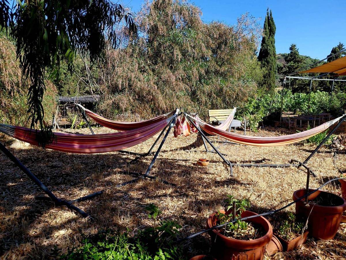 In Our Garden Sardinia - Grano Glamping Tent in Quartu Sant'Elena, Cagliari e Dintorni