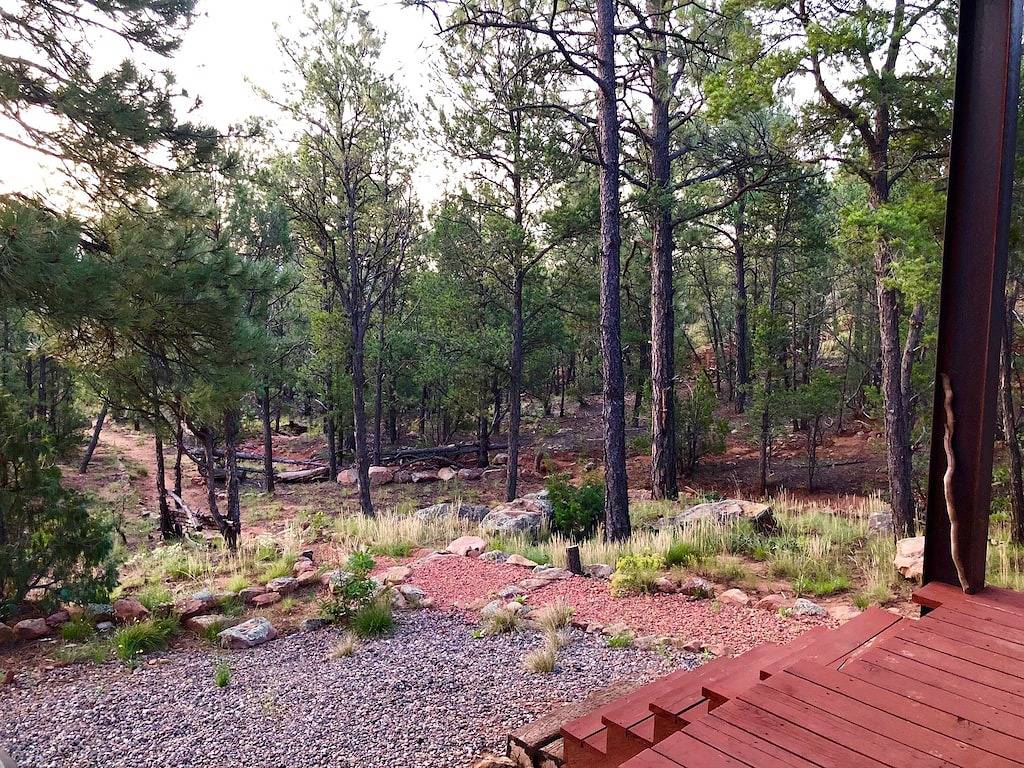 Moderne Hütte im Wald - familien- und haustierfreundlich in New Mexico