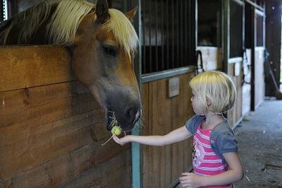 Chalet für 5 Personen, mit Terrasse und Garten, mit Haustier am Chiemsee - 3