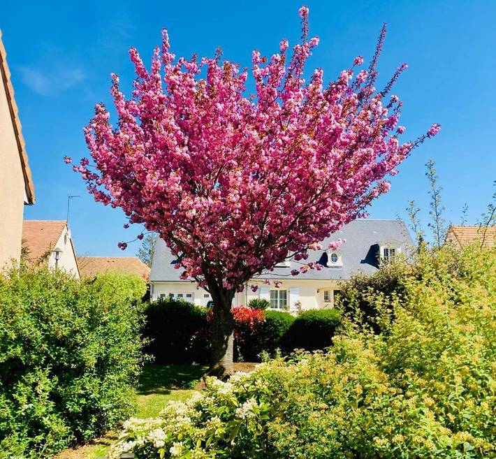 Chambre d’hôte pour 3 personnes, avec jardin
