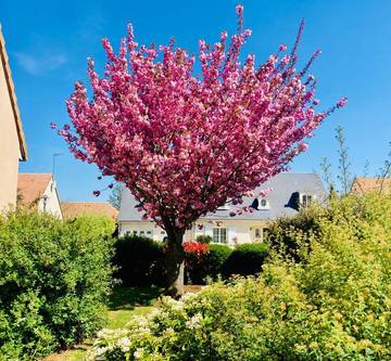 Chambre d’hôte pour 2 personnes, avec jardin à Savigné-l'Évêque