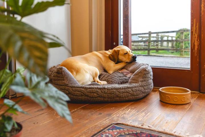 Station pour 2 personnes, avec piscine ainsi que vue et jardin à Glastonbury - 4