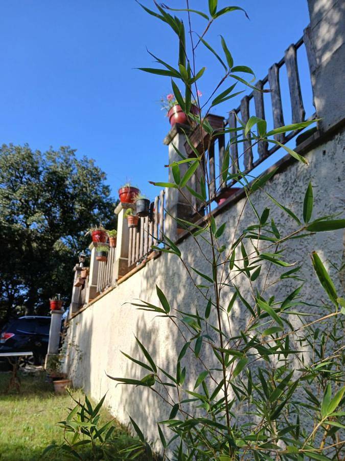 Location de vacances pour 3 personnes, avec jardin et vue à Colonzelle - 2