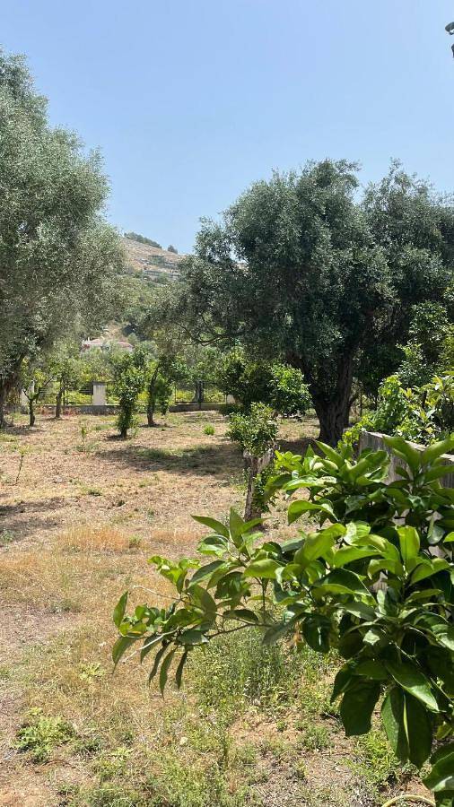 Location de vacances pour 7 personnes, avec jardin à Himarë - 4