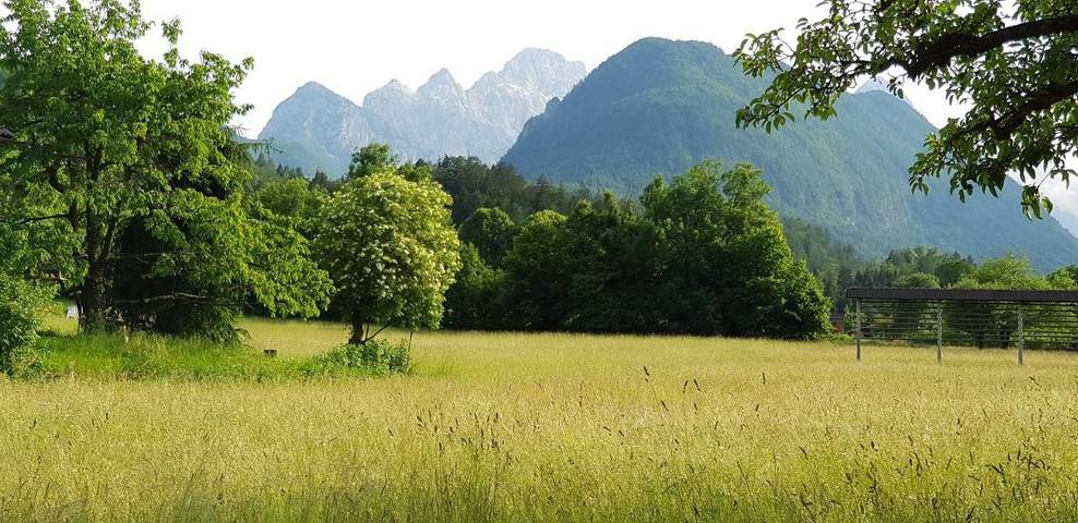 Location de vacances pour 5 personnes, avec jardin et vue dans Mojstrana - 4