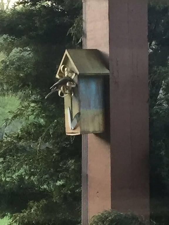 Log Cabin for 8 Guests in Chattahoochee National Forest, Towns County