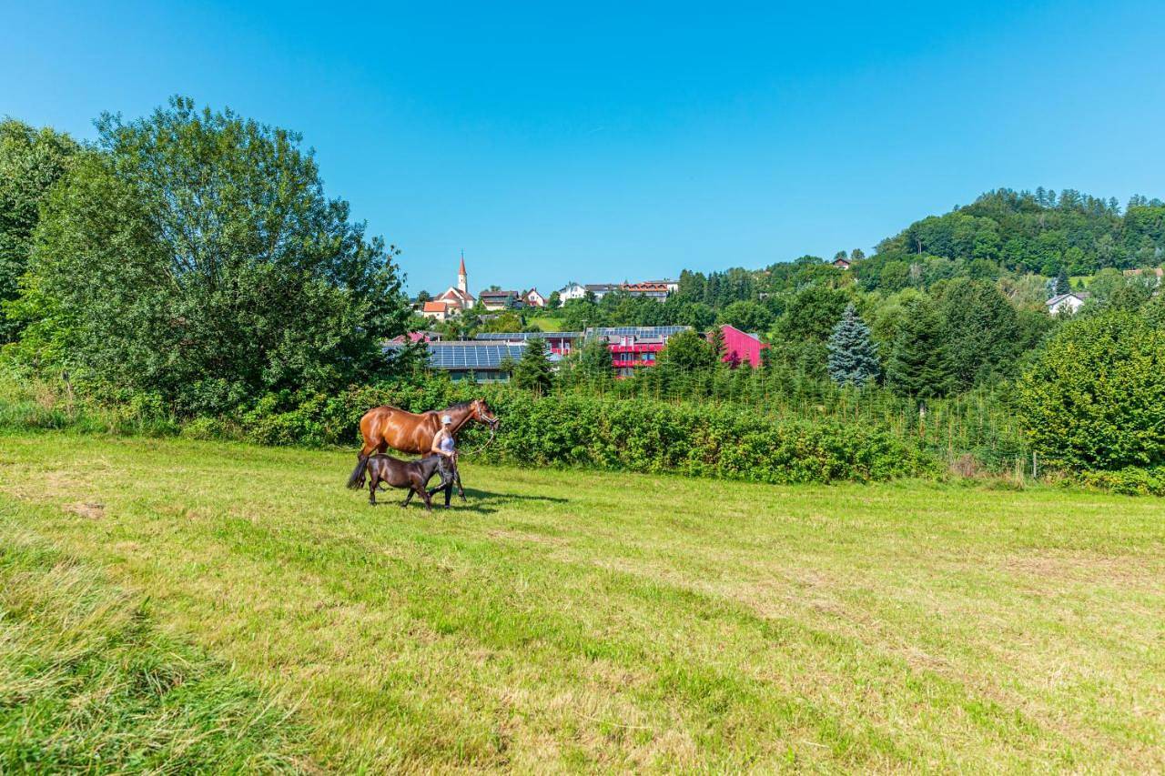 Familienhotel Reiterhof Runding in Runding, Ostbayern