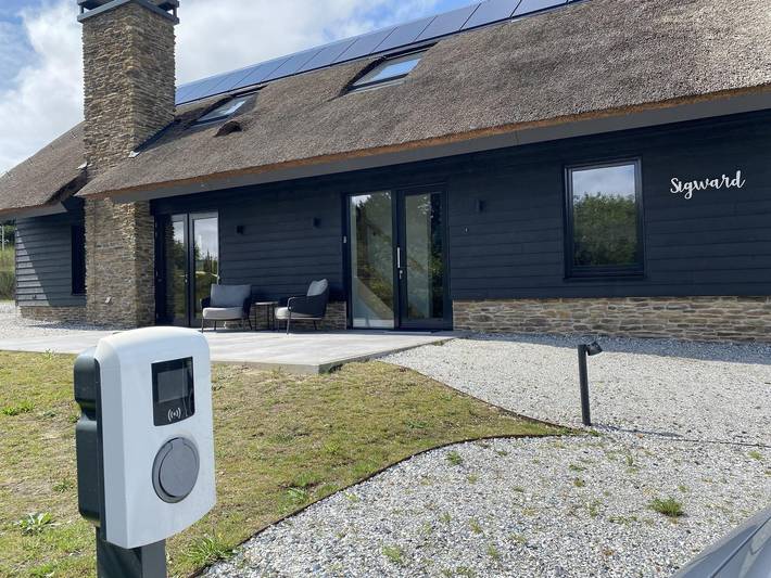 Ferienhaus für 12 Personen, mit Balkon/Terrasse und Terrasse sowie Garten und Pool in Friesland - 3