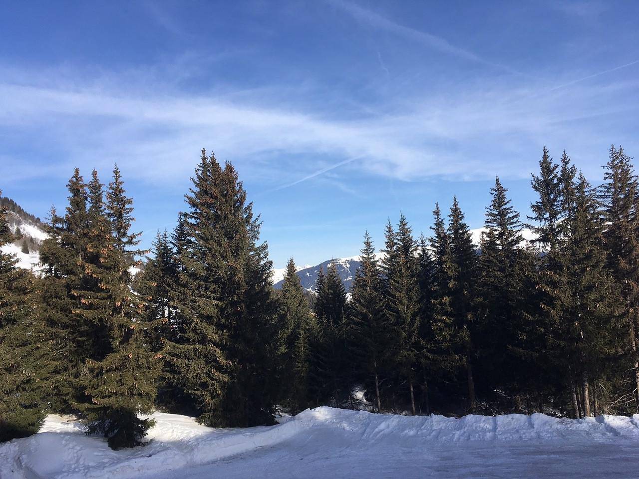 Apartamento entero, Résidence Jardin Alpin - Apartamento 3 piezas para 6 personas (209) in Courchevel 1850, Saint-Bon-Tarentaise