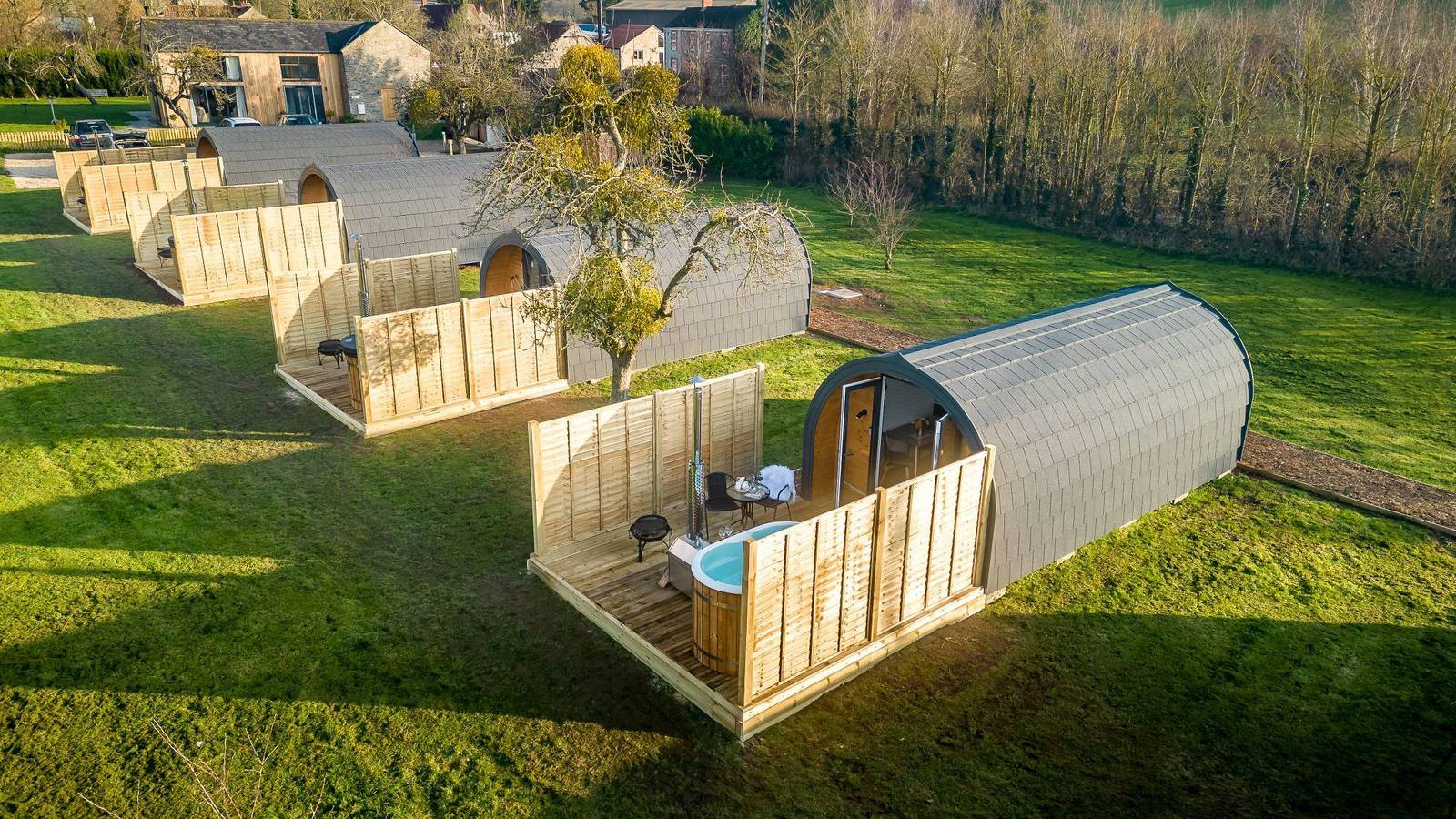 Kingston Black, Apple Tree Glamping in Wookey, Somerset