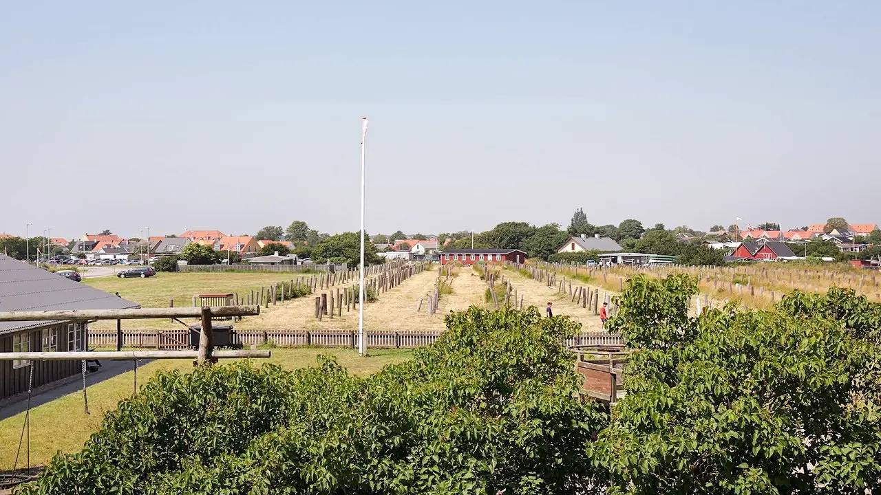 Ferienhaus für 5 Personen (65 m²) in Karrebæksminde in Karrebæksminde, Enø