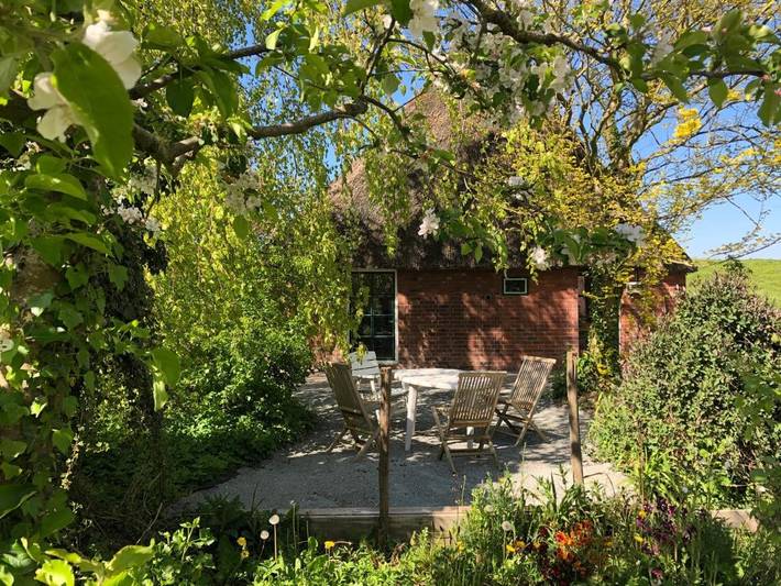 Ferienhaus für 6 Personen, mit Terrasse und Garten sowie Ausblick in Balje - 2