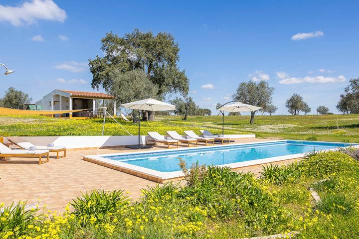 Alentejo Rural Farmhouse with Heated Pool & Total Privacy in Ferreira do Alentejo e Canhestros, Beja Distrikt