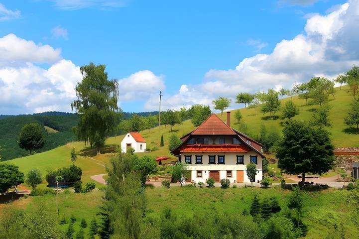 Gîte pour 3 personnes, avec Jardin dans Oberharmersbach, Forêt-Noire centrale