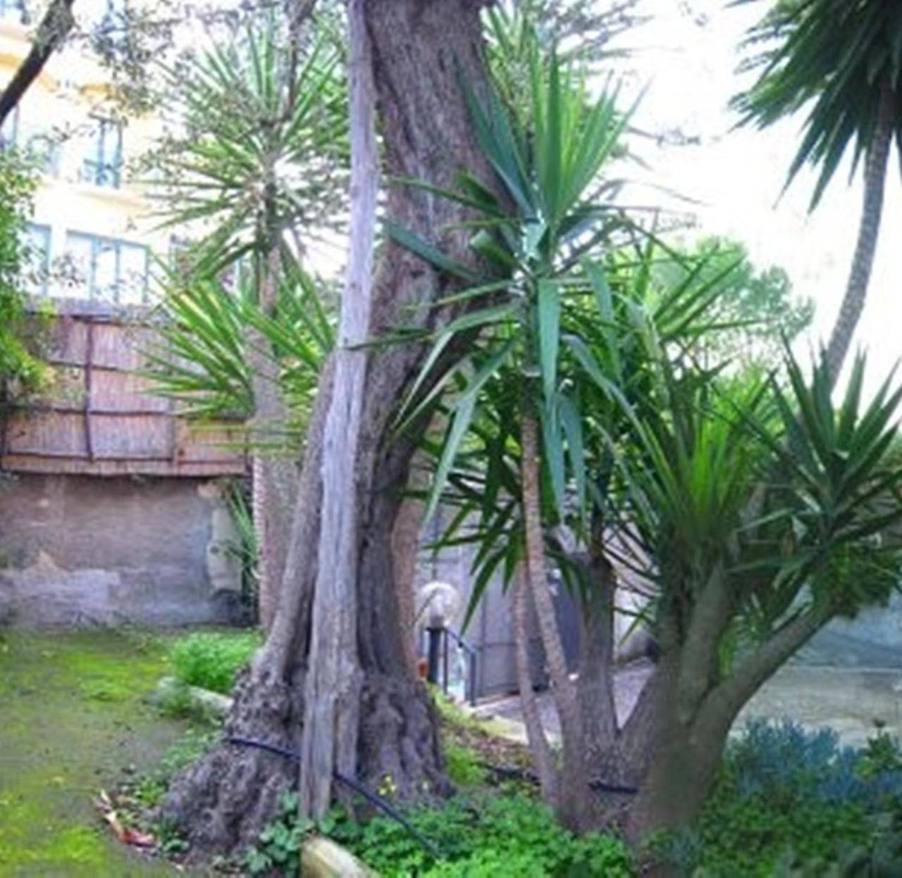 Villa Orchidea in Sorrento, Sorrento Coast