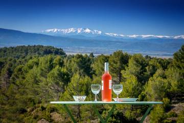 Gîte pour 4 Personnes dans La Livinière, Parc naturel régional du Haut-Languedoc, Photo 1