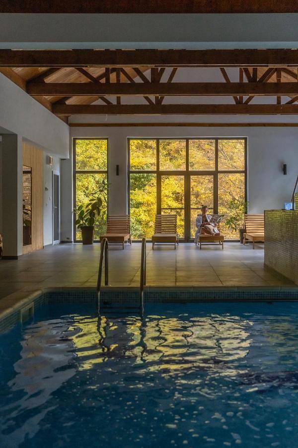 Hôtel pour 2 personnes, avec jardin et sauna ainsi que vue et piscine, animaux acceptés à Despotovac - 4