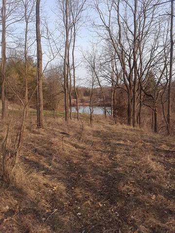 Vacation Home for 30 Guests in Michigan, USA, Picture 1