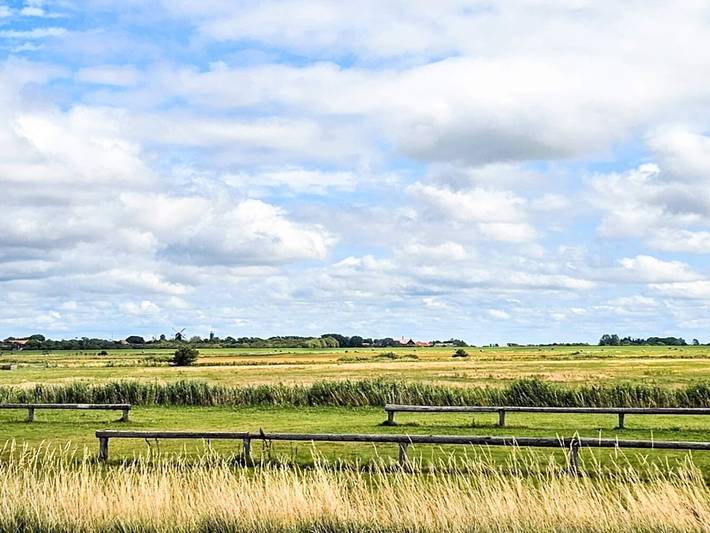 Ferienhaus für 16 Personen, mit Pool in Højer - 2
