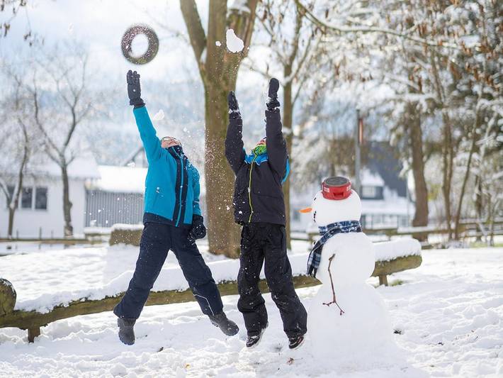 Bauernhof für 5 Personen, mit Garten, mit Haustier in Schmallenberg - 2