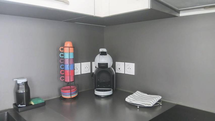 Gîte pour 6 personnes, avec jardin à Dammarie-les-Lys - 4