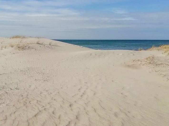 Bungalow für 2 Personen, mit Terrasse und Garten auf Fischland - Darß - Zingst - 4