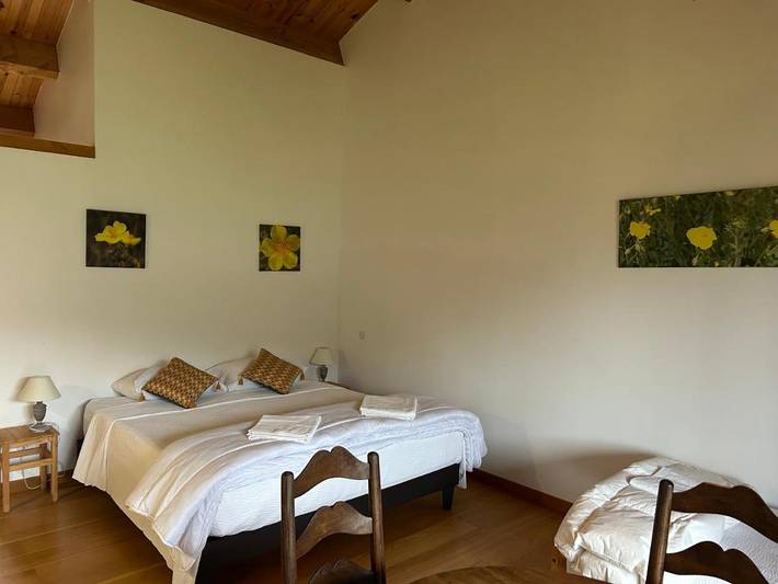 Hôtel pour 6 personnes, avec jardin ainsi que sauna et vue à Saint-Pierre-Eynac - 2