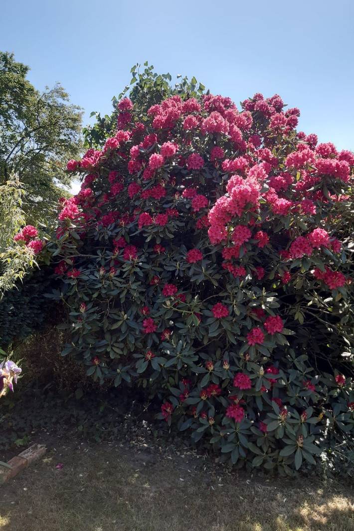 Villa pour 7 personnes, avec vue sur le lac ainsi que terrasse et jardin en Normandie - 2