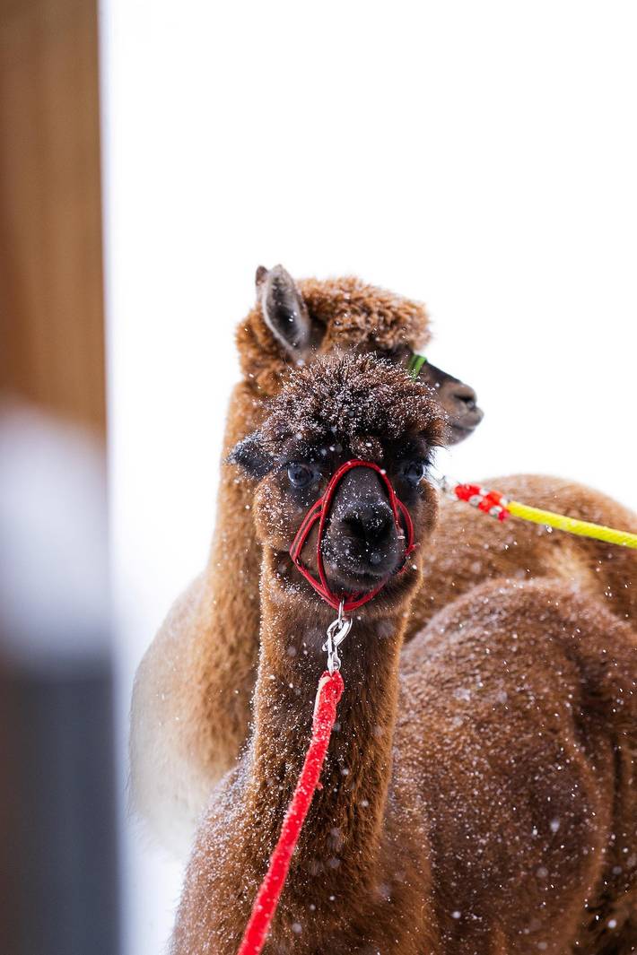 Ferienhaus für 4 Personen, mit Balkon und Balkon/Terrasse in Naturpark Oberpfälzer Wald - 3