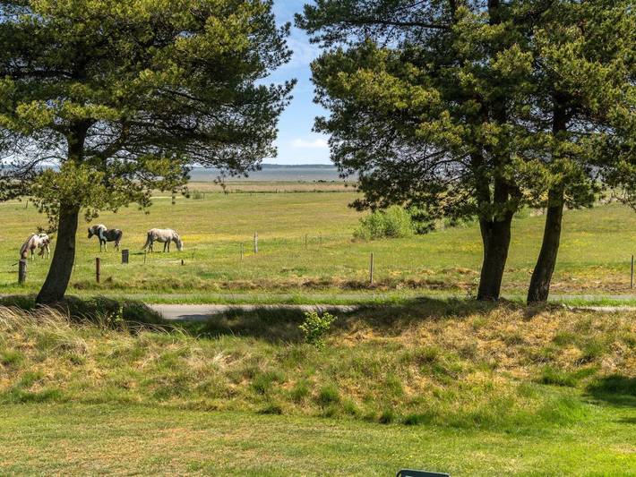 Ferienhaus mit meerblick für 6 Personen, mit Terrasse in Blavand - 3