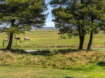 Ferienhaus für 6 Personen in Ho, Dänemark an der Nordsee, Bild 2