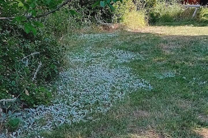 Location de vacances pour 6 personnes à Sigonce - 4