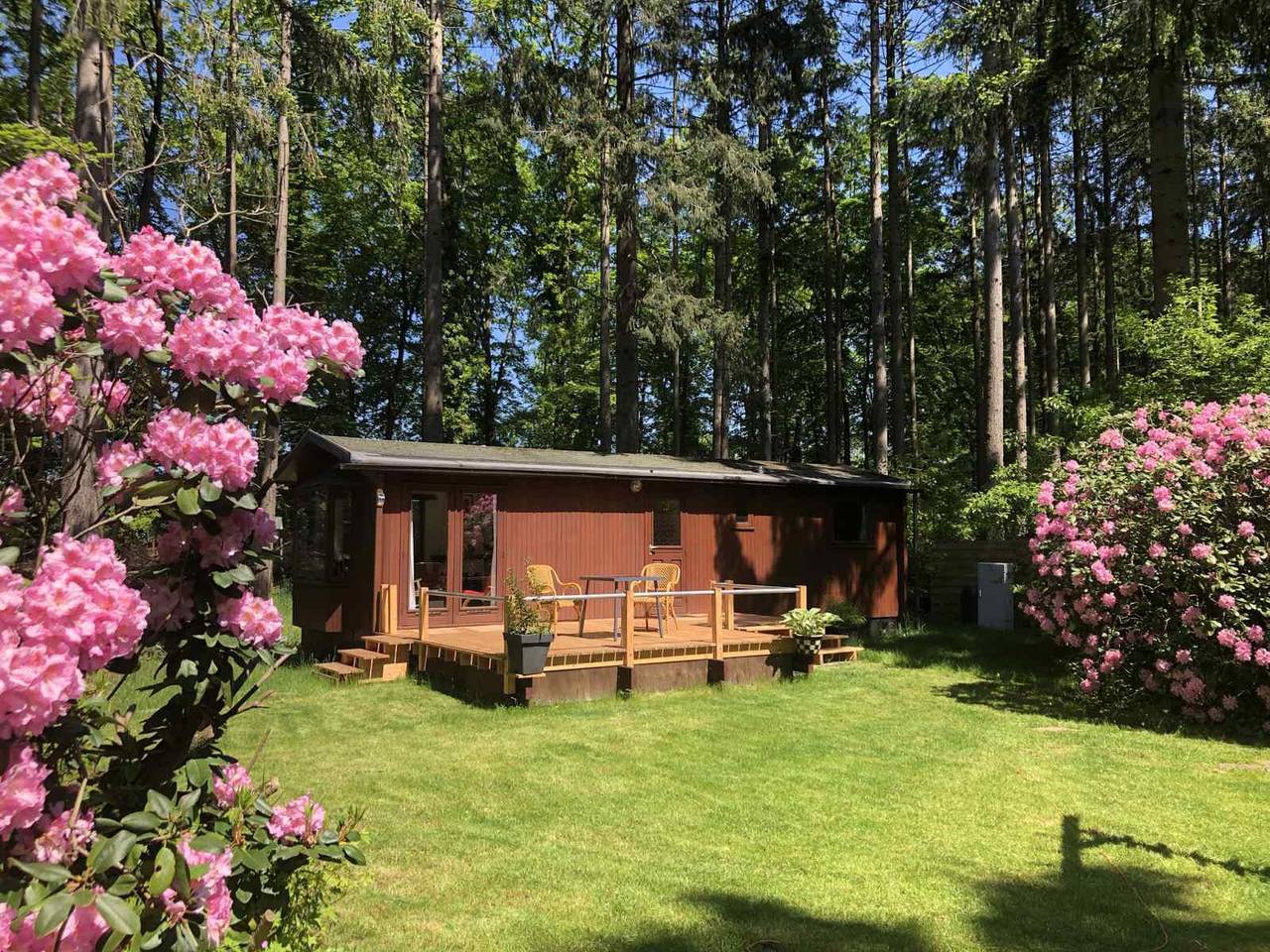 Gemütliches 4-Personen-Chalet mit Terrasse in den Wäldern bei Lochem in Lochem, Achterhoek