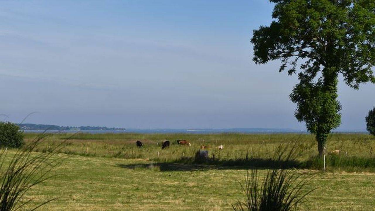 Ferienhaus für 4 Personen (80 m²) in Niesgrau in Niesgrau, Schleswig-Flensburg