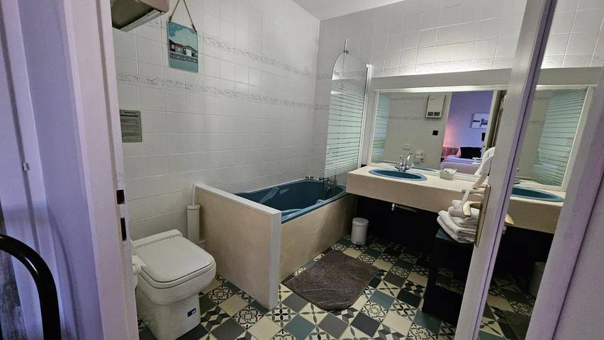 Hôtel pour 2 personnes, avec terrasse, animaux acceptés à Losne - 2