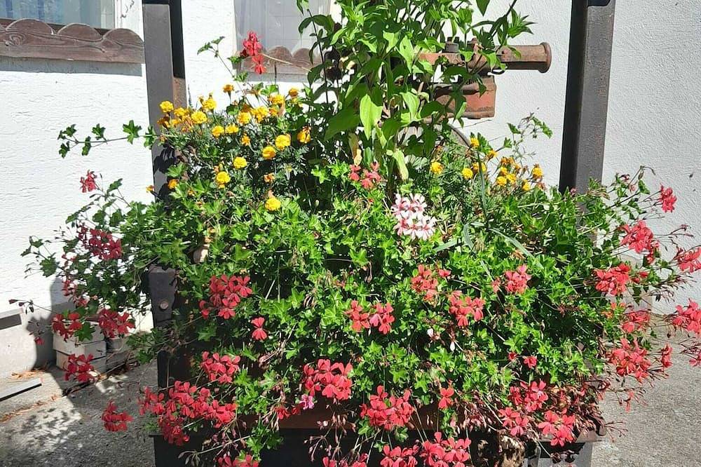 Ganze Wohnung, Ferienwohnung auf dem Bauernhof im schönen Allgäu mit Liegewiese und Feuerstelle in Argenbühl, Württembergisches Allgäu