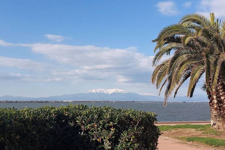 Appartement de vacances pour 4 personnes, avec piscine et jardin - 1