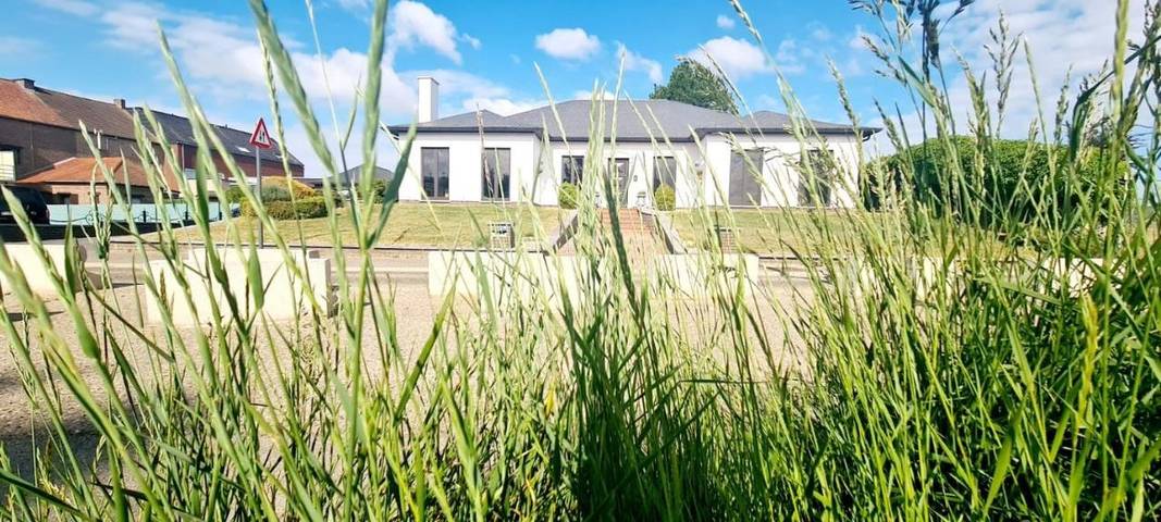 Location de vacances pour 9 personnes, avec jardin à Bilzen - 3