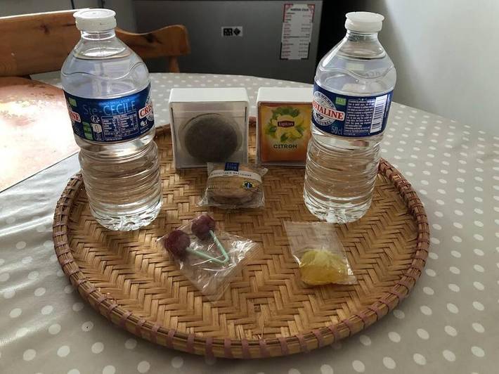 Gîte pour 3 personnes, avec jardin, animaux acceptés à Aussonne - 4