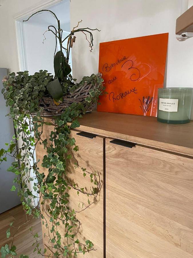 Location de vacances pour 14 personnes, avec vue et terrasse, animaux acceptés dans Marais des Moines - 4