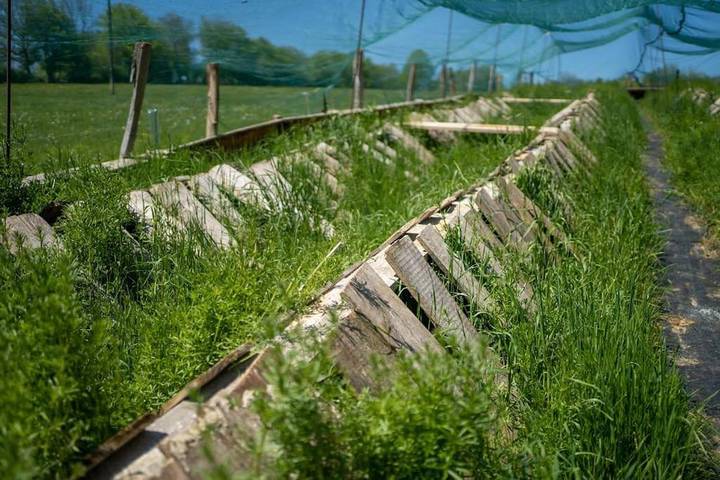 Location de vacances pour 6 personnes, avec jardin et vue dans Chamesol - 3