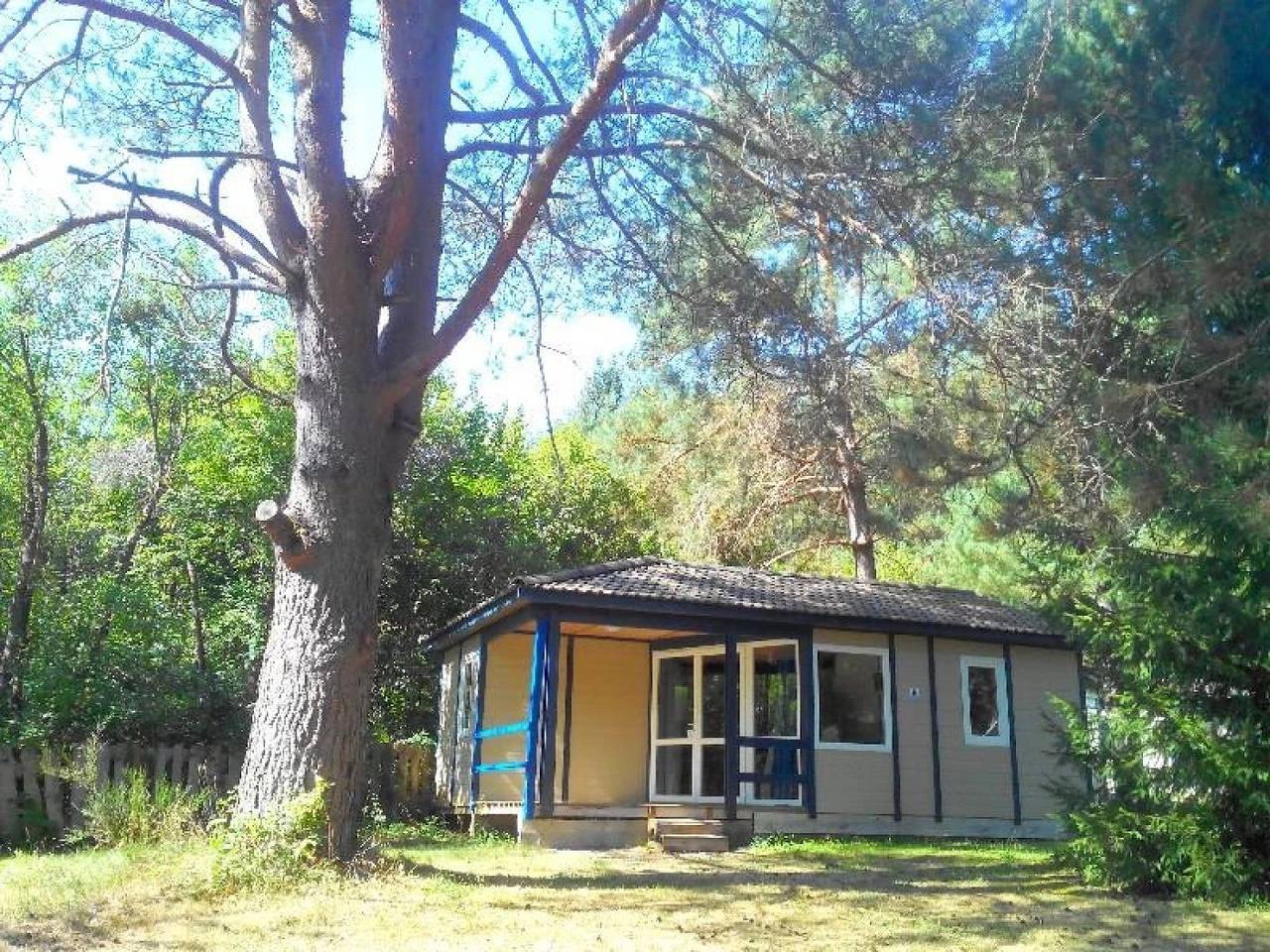 Camping 3 étoiles - Piscine  - ccbecgg in Palisse, Ussel und Umgebung