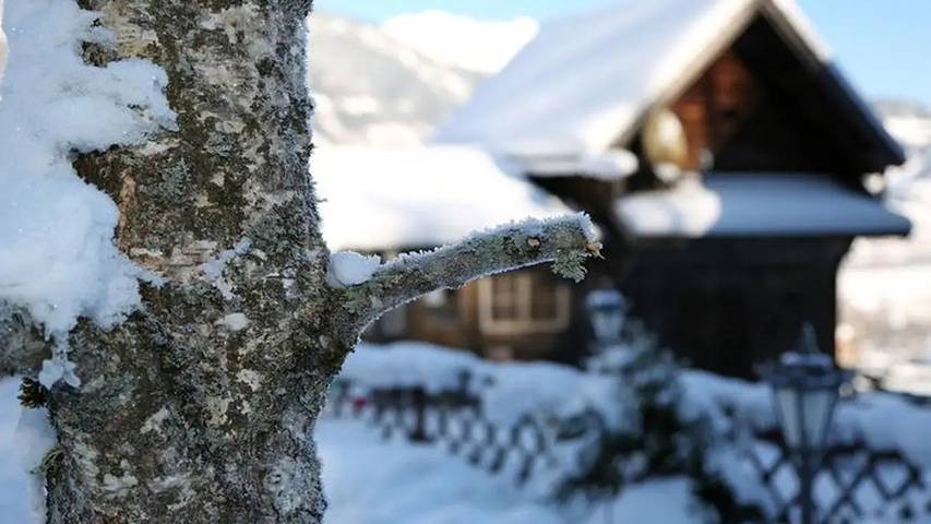 Hütte für 3 Personen, mit Garten in Haus - 2
