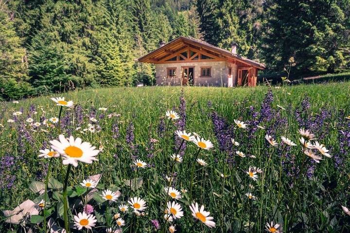 Baita per 4 persone, con Giardino a Pinzolo