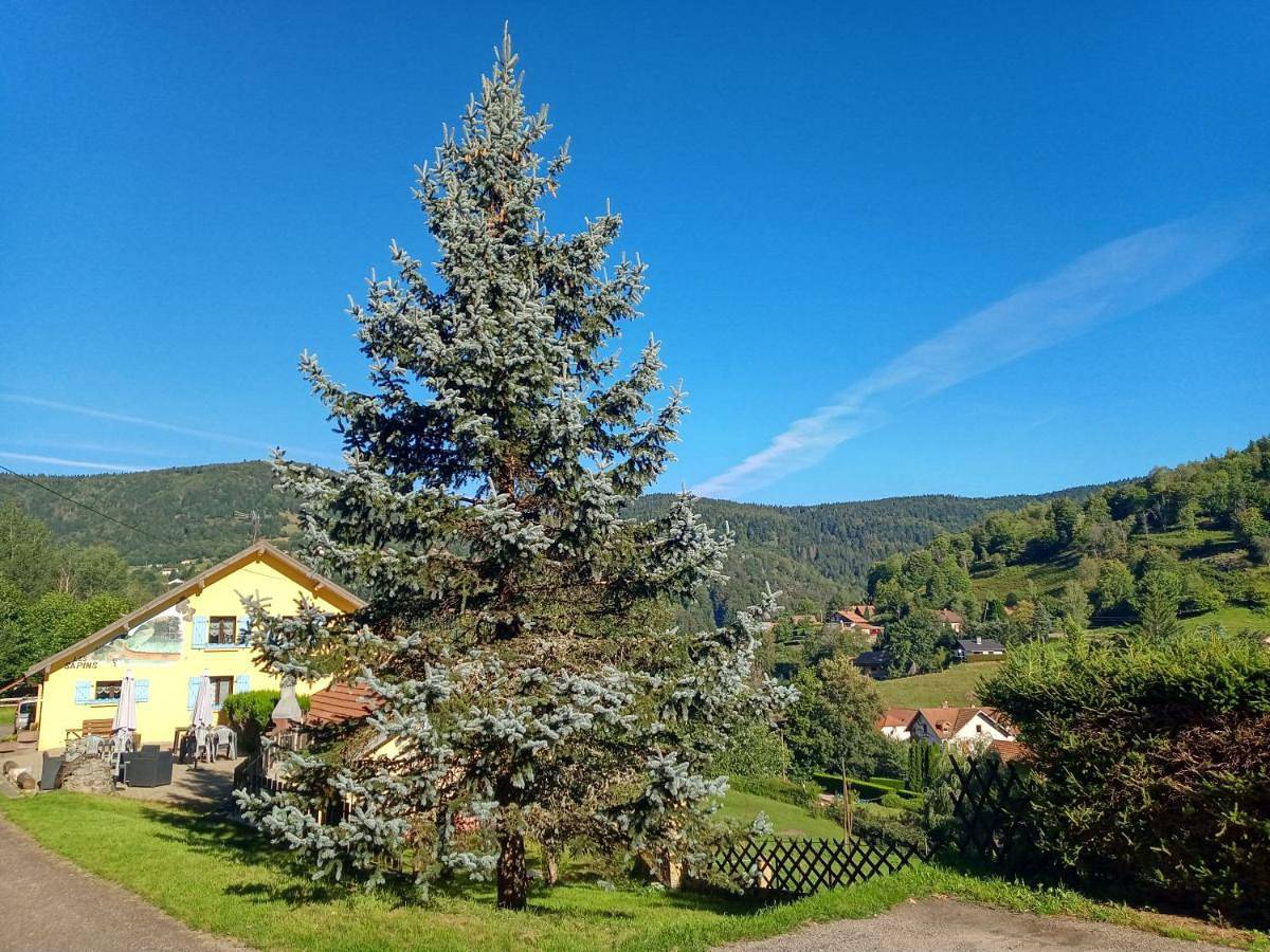 Double Room with Private Bathroom in Bussang, Parc naturel régional des Ballons des Vosges
