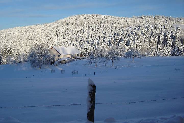 Gîte pour 6 personnes, avec balcon et jardin, animaux acceptés à Girmont-Val-d'Ajol