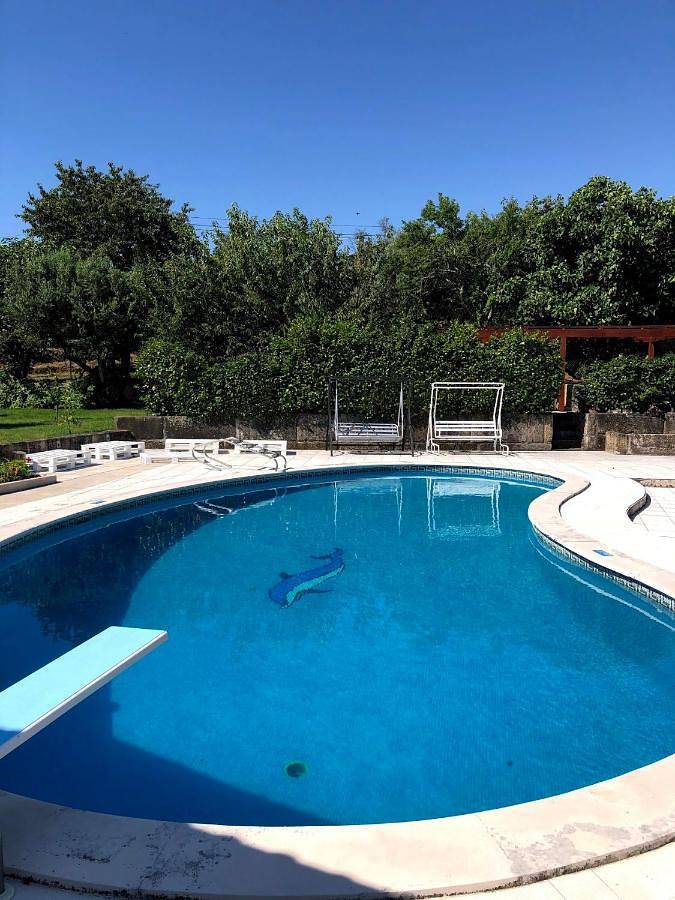 Location de vacances pour 8 personnes, avec vue ainsi que jardin et piscine, animaux acceptés à Mangualde - 4