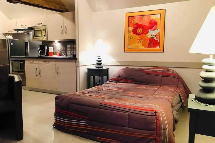 Gîte pour 4 personnes, avec jardin ainsi que jacuzzi et sauna, animaux acceptés à La Ferrière-aux-Étangs - 3